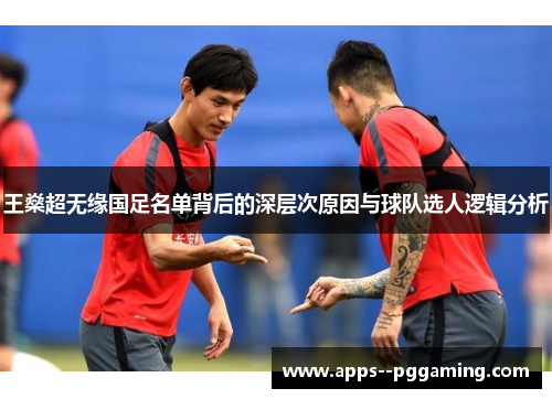 王燊超无缘国足名单背后的深层次原因与球队选人逻辑分析