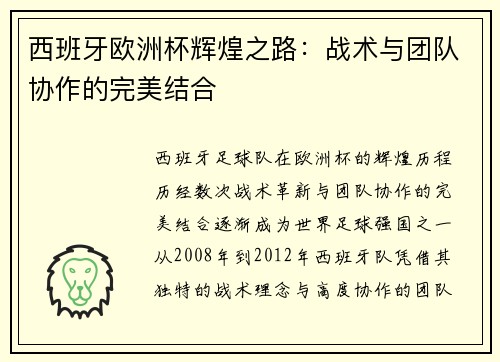 西班牙欧洲杯辉煌之路：战术与团队协作的完美结合